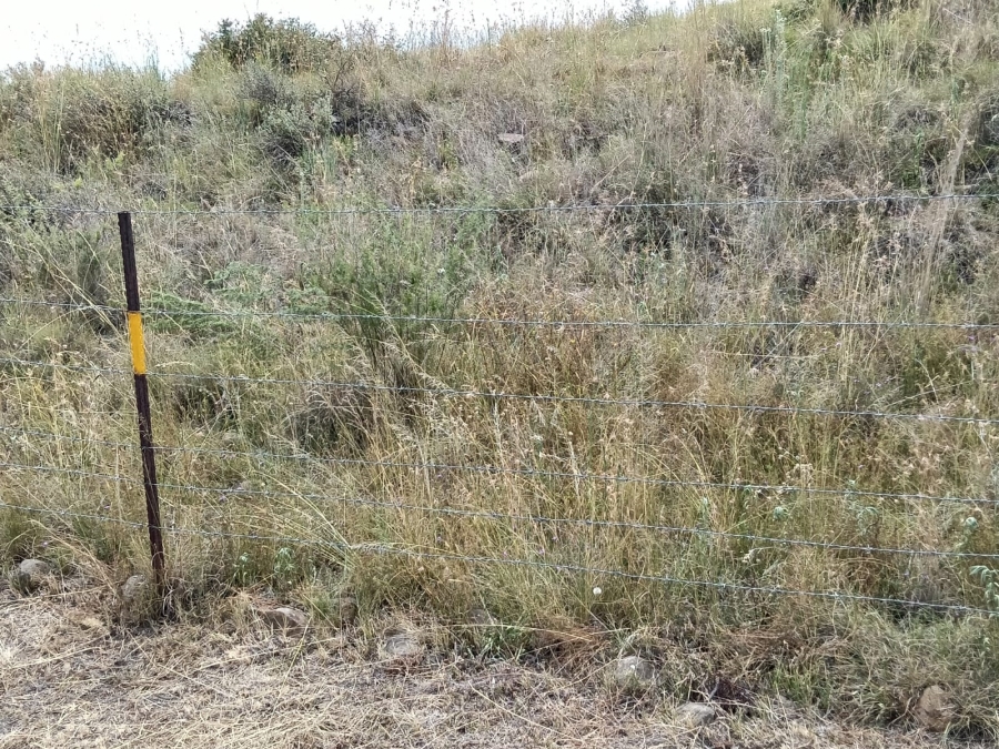 0 Bedroom Property for Sale in Lindley Rural Free State